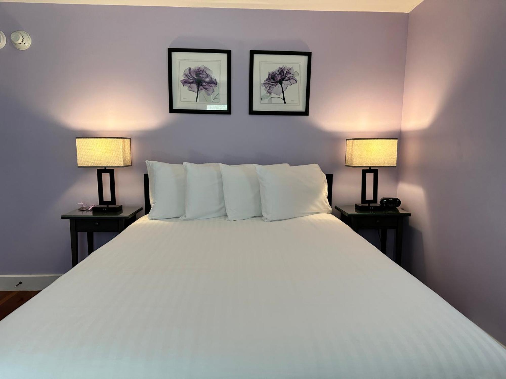 Dragonfly Guest House Ogunquit Extérieur photo