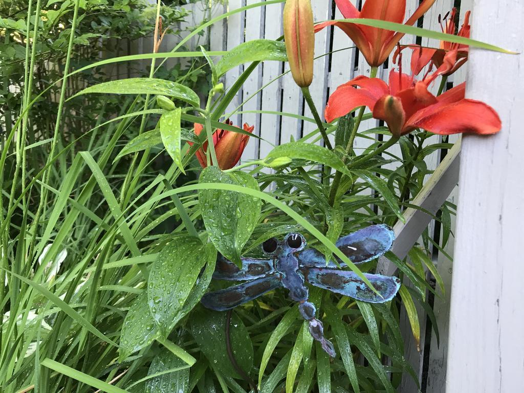 Dragonfly Guest House Ogunquit Extérieur photo
