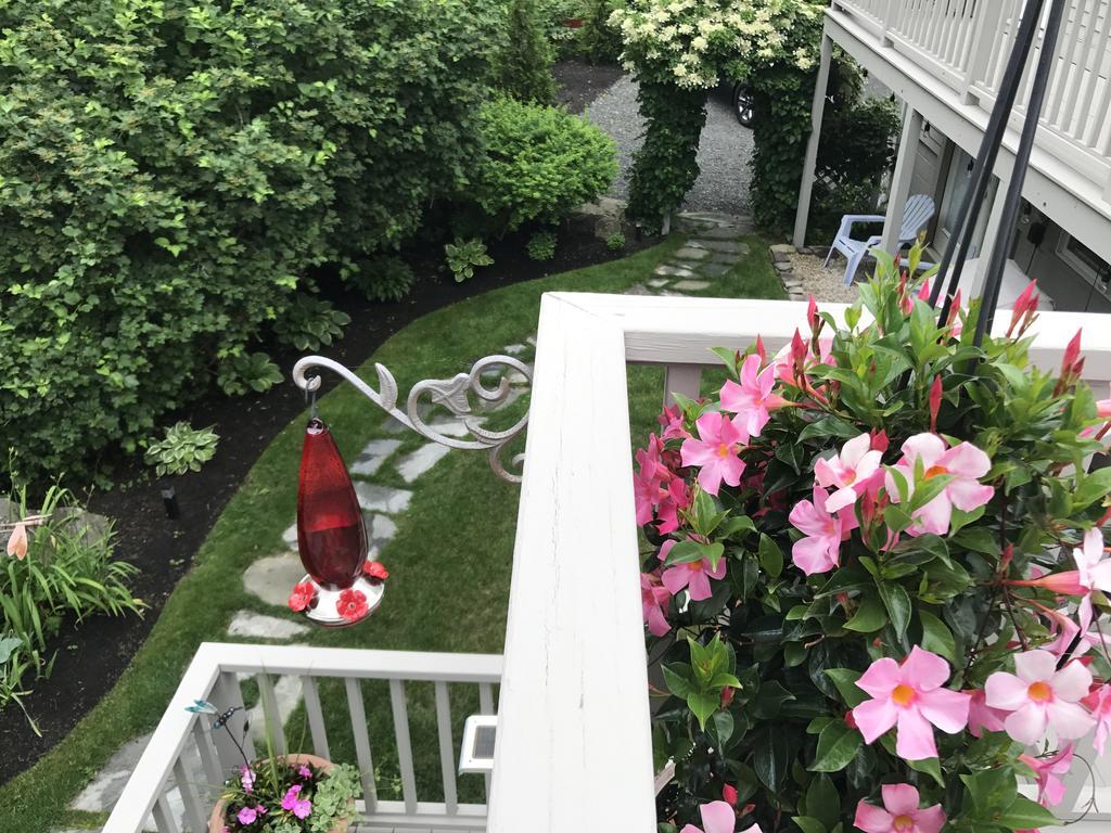 Dragonfly Guest House Ogunquit Extérieur photo