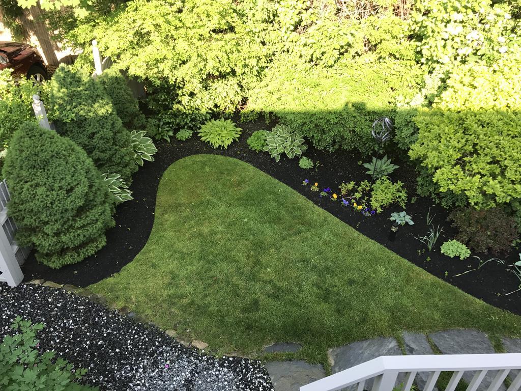Dragonfly Guest House Ogunquit Extérieur photo