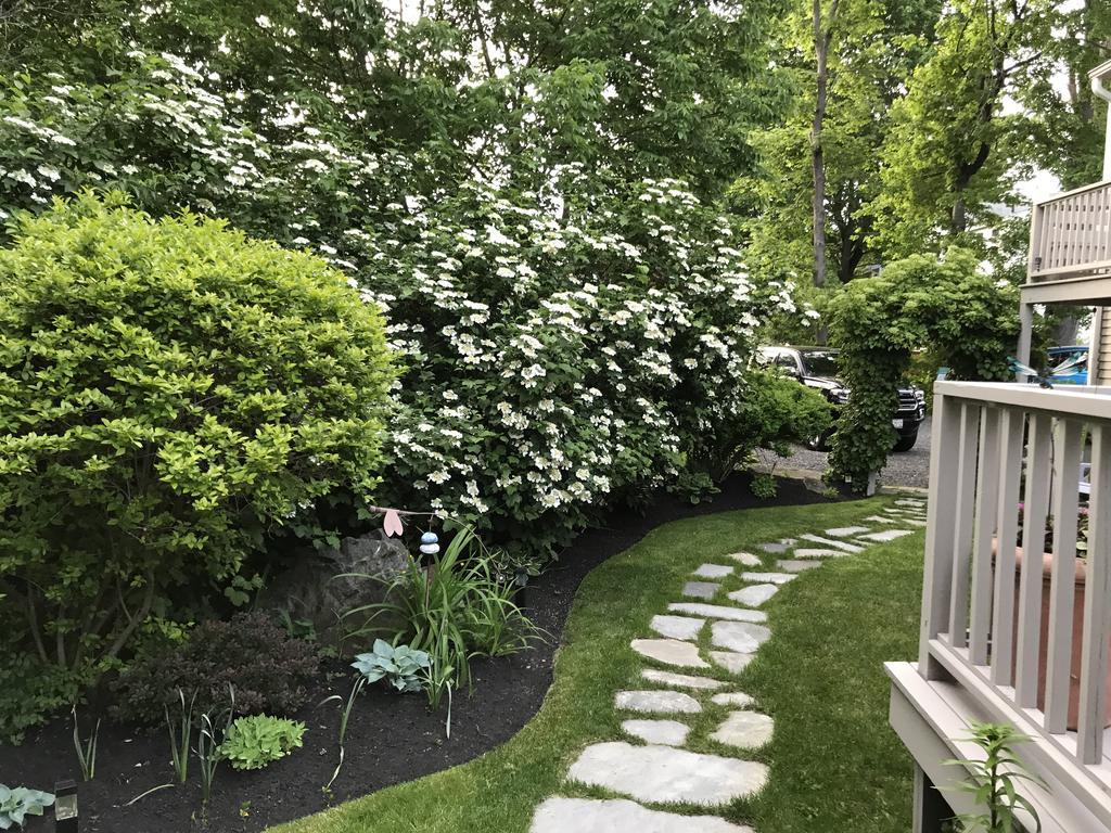 Dragonfly Guest House Ogunquit Extérieur photo