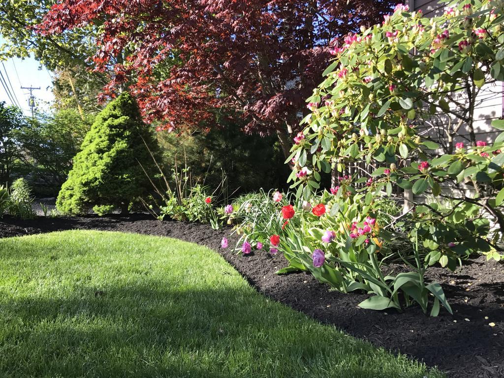 Dragonfly Guest House Ogunquit Extérieur photo